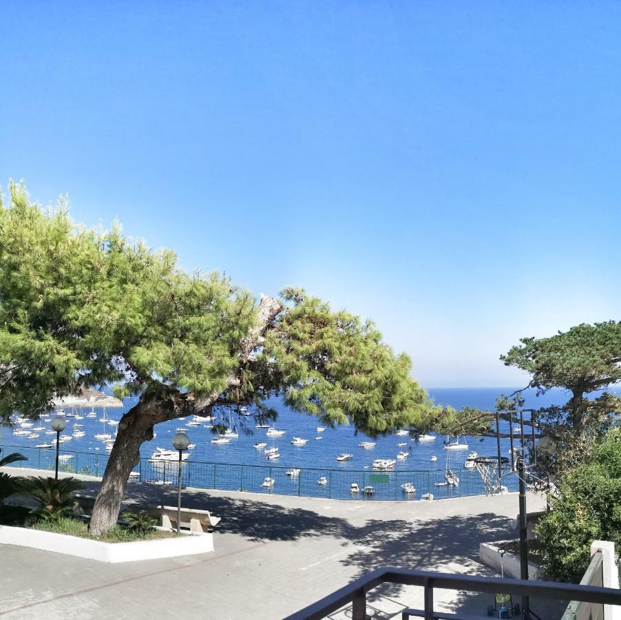 Calise Guest House Procida Buitenkant foto